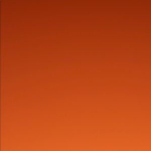 SOLD Rebecca Minkoff case